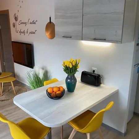 Appartement Latitude Savoie à Drumettaz-Clarafond Extérieur photo